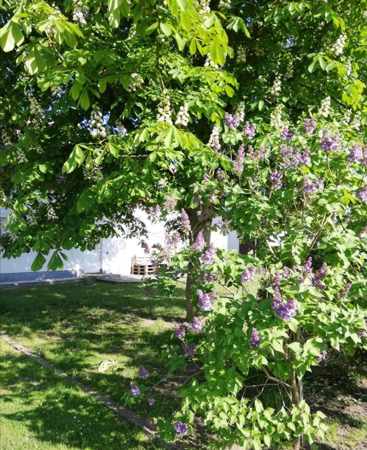 Ferienwohnung Lodig Gross Sarchen Εξωτερικό φωτογραφία